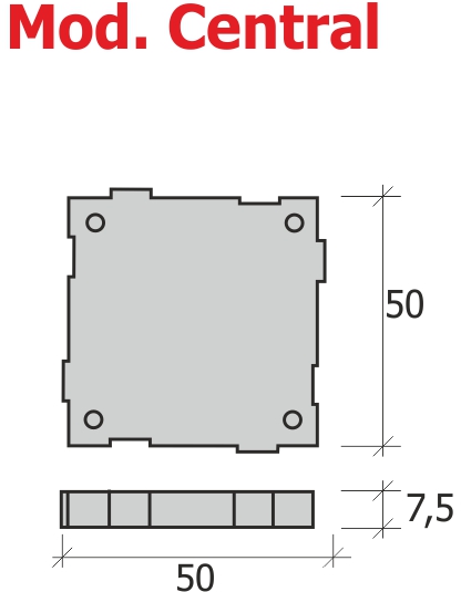 pas-elevat-model-estandard-5.jpg